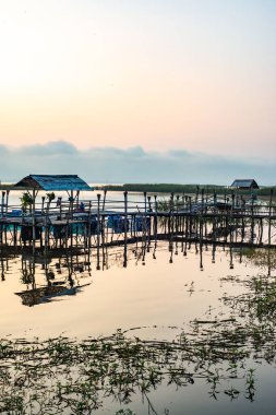 Kwan Phayao lake at sunrise, Thailand.