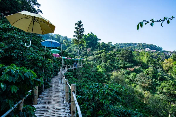 Stock image Bamboo bridge with mountain view in Pha Hi village, Chiang Rai province.