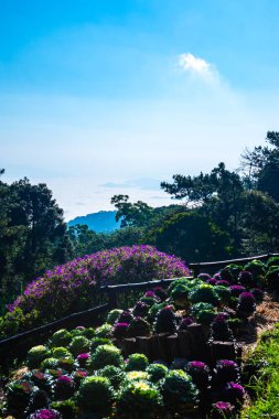 Mountain view at Doi Kiew Lom view point in Huai Nam Dang national park, Thailand.