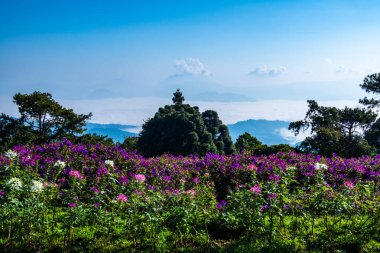 Mountain view at Doi Kiew Lom view point in Huai Nam Dang national park, Thailand.