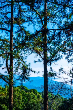 Mountain view at Doi Kiew Lom view point in Huai Nam Dang national park, Thailand.
