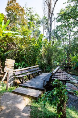 Mountain stream in Chiangmai province, Thailand.