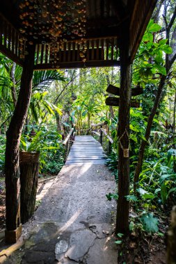 Small bridge with natural park in Chiangmai province, Thailand.