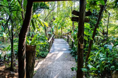 Small bridge with natural park in Chiangmai province, Thailand.