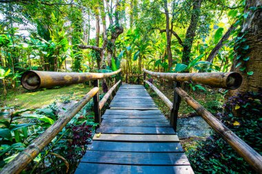Small bridge with natural park in Chiangmai province, Thailand.