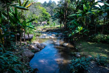 Mountain stream in Chiangmai province, Thailand.