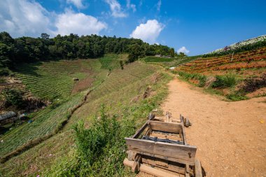 Doi Mon Cham, Tayland, Chiangmai eyaletinde..