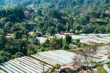 The mountain view of Doi Inthanon national park in Chiangmai province, Thailand.