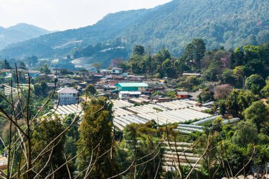 The mountain view of Doi Inthanon national park in Chiangmai province, Thailand.