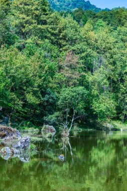 Lake view with reflection in Doi Inthanon national park, Thailand.
