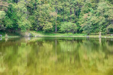 Lake view with reflection in Doi Inthanon national park, Thailand.