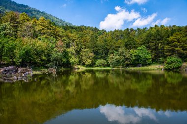 Lake view with reflection in Doi Inthanon national park, Thailand.