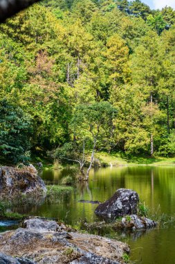 Lake view with reflection in Doi Inthanon national park, Thailand.