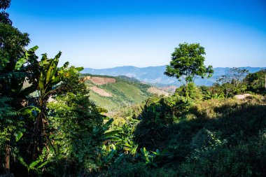 Mountain view at 1715 view point in Nan province, Thailand.