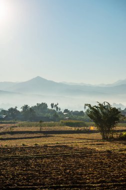 Sabahın erken saatlerinde, Tayland 'ın Pua ilçesindeki tarım arazisi..