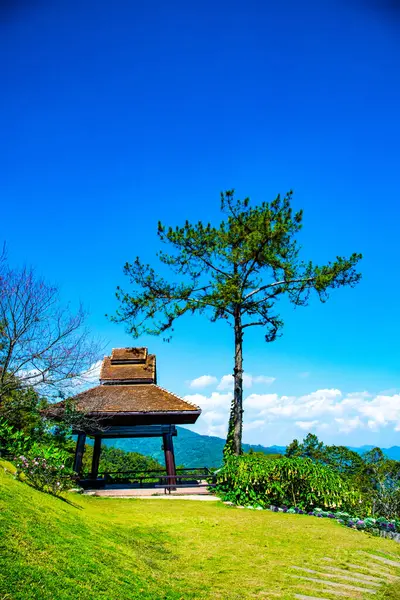 stock image Rest house with pine at Doi Kiew Lom view point in Huai Nam Dang national park, Thailand.