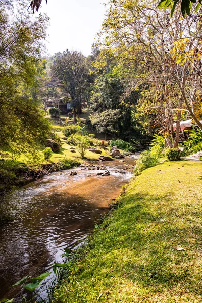 stock image Mountain stream in Chiangmai province, Thailand.