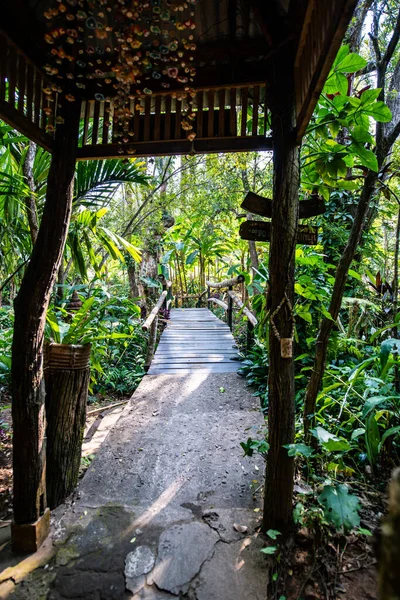 Kleine Brug Met Natuurpark Chiangmai Provincie Thailand — Stockfoto