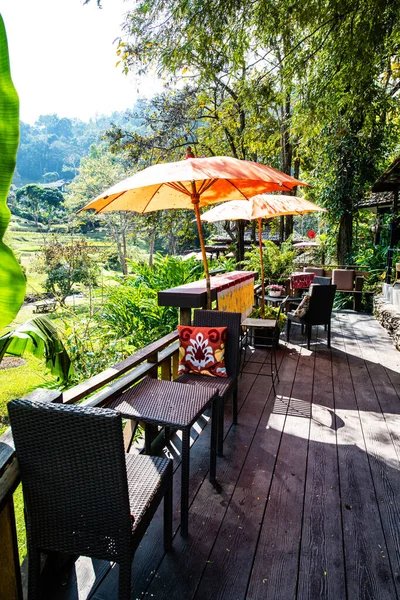 Beautiful Park Chiangmai Province Thailand — Zdjęcie stockowe