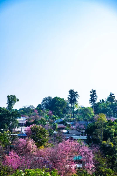 Khun Chang Khian Village Thailand — Fotografia de Stock