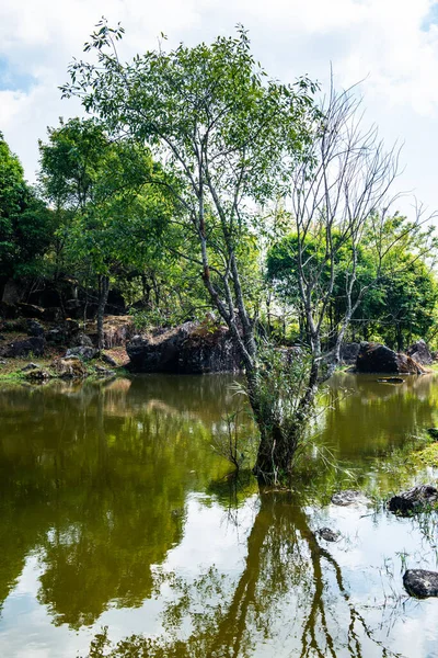 Lake View Reflection Doi Inthanon National Park Thailand — Photo
