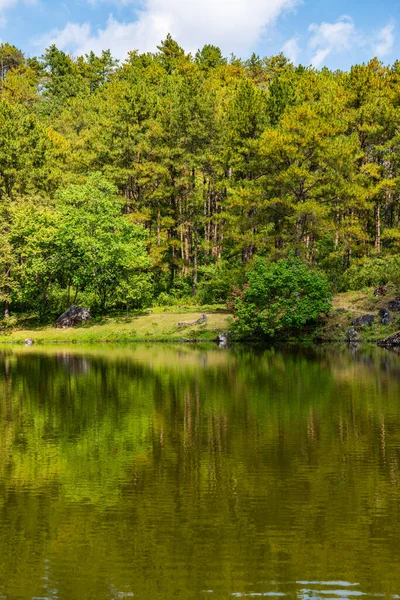 stock image Lake view with reflection in Doi Inthanon national park, Thailand.