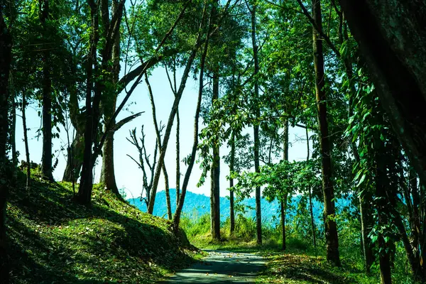 土井にある自然歩道 Phu Kha国立公園 — ストック写真