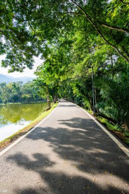 Ang Kaew Reservoir in Chiang Mai University, Thailand.