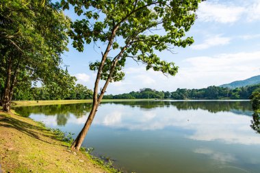 Ang Kaew Reservoir in Chiang Mai University, Thailand.