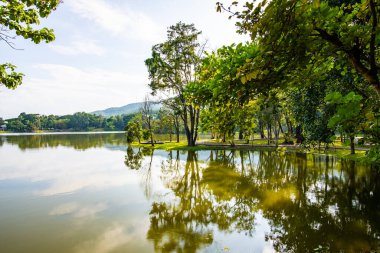 Ang Kaew Reservoir in Chiang Mai University, Thailand.