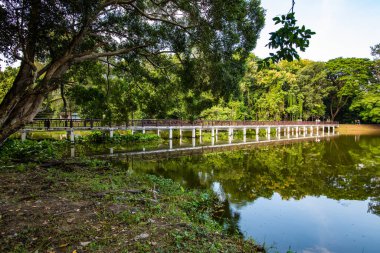 Ang Kaew Reservoir in Chiang Mai University, Thailand.
