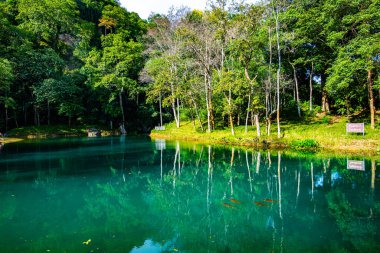 Tham Luang 'daki zümrüt havuz - Khun Nam Nang Orman Parkı, Chiang Rai.