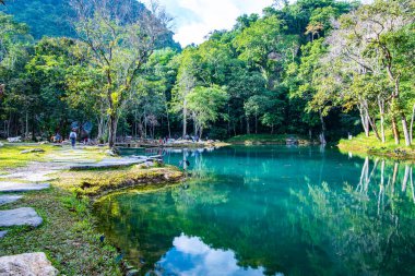 Tham Luang 'daki zümrüt havuz - Khun Nam Nang Orman Parkı, Chiang Rai.