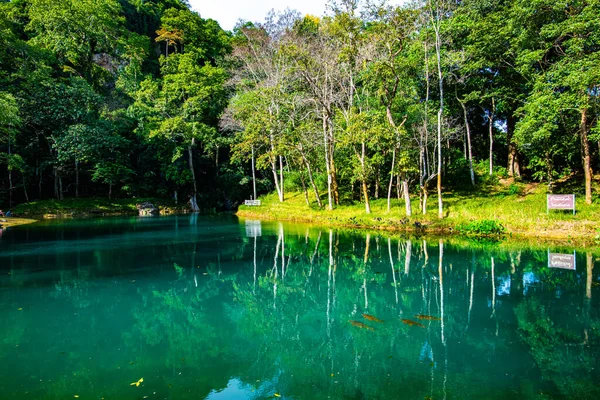 Het Smaragdgroene Zwembad Tham Luang Khun Nam Nang Non Forest — Stockfoto