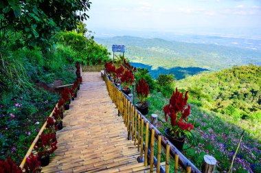 CHIANG MAI, THAILAND - 25 Kasım 2019: Mon Cham, Chiang Mai 'deki güzel parklı Skywalk.