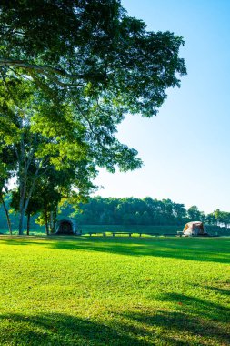 Camping Yard in Mae Puem National Park, Phayao province.