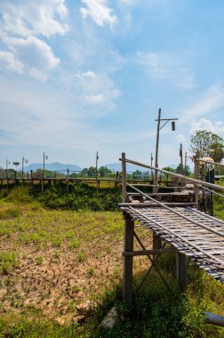 The wooden bridge with rice field at Phrathat San Don temple, Lampang province.