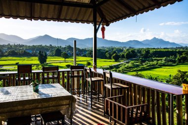 Tayland 'ın Lampang bölgesindeki Muang Pan bölgesinde pirinç tarlası.