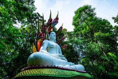 Analyo Thipayaram tapınağındaki güzel beyaz Buda heykeli, Tayland.