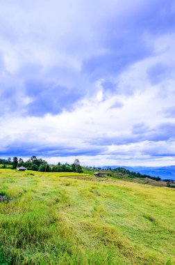 Pa Bong Piang Rice Terraces at Chiang Mai Province, Thailand.