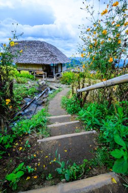 Pa Bong Piang Rice Terraces at Chiang Mai Province, Thailand.