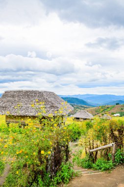 Pa Bong Piang Rice Terraces at Chiang Mai Province, Thailand.