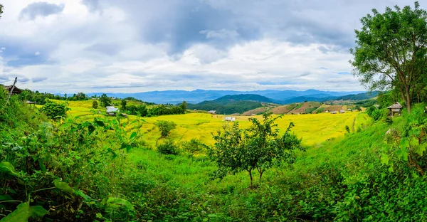 Panorama View of Pa Bong Piang Rice Terraces at Chiang Mai Province, Thailand.