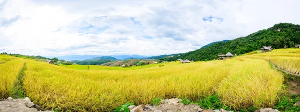 Panorama View Bong Piang Rice Terraces Chiang Mai Province Thailand — Stockfoto