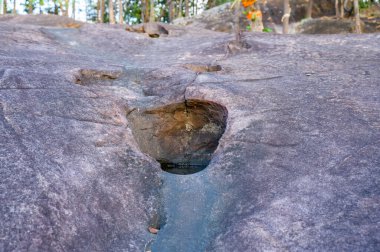Some Pond at Well No.12, Phayao Province.