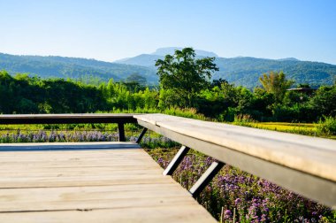 The Platform for Viewing in Flower Garden, Chiang Mai Province.