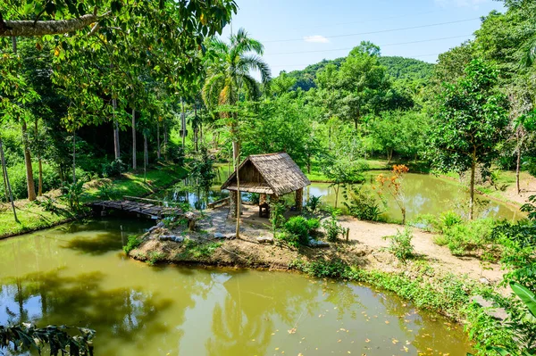 Naturpark Der Provinz Nan Thailand — Stockfoto