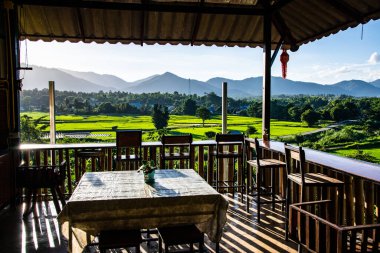 Tayland 'ın Lampang bölgesindeki Muang Pan bölgesinde pirinç tarlası.