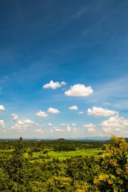 Tayland 'ın Chiangmai bölgesindeki pirinç tarlası..