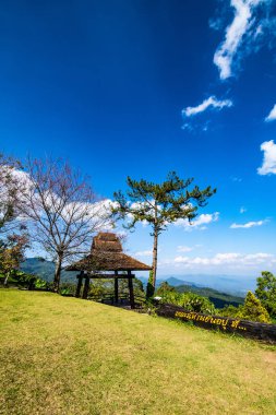 Rest house with pine at Doi Kiew Lom view point in Huai Nam Dang national park, Thailand.